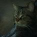 Gretchen Sayer - Facebook