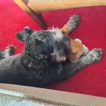 Gretchen R Schofield - @gretchenrschofield - Instagram