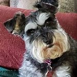 Gretchen Schofield - @schofieldgretchen - Instagram