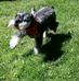 Gretchen Schofield - Facebook
