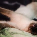 gretchen schultz - @gretchenschultz34 - Instagram