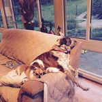 Gretchen Seitz - @seitzgretchen - Instagram