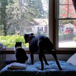 gretchen & kurtis shaw - @bed_hogs - Instagram