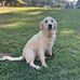 Gretchen Shaw - Facebook
