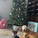 Gretchen Sun - @grister27 - Instagram