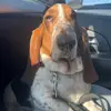Knuts_Worl - @gretchensunverpackt - TikTok