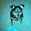 Gretchen Sutter - @gretchen.sutter - TikTok