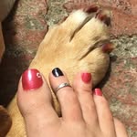 Gretchen Walsh - @ggkwalsh - Instagram