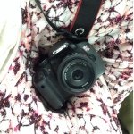 gretchen werner - @gwerner_photography - Instagram