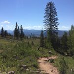 Gretchen Killius West - @gkwest63 - Instagram