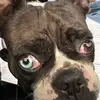 Gretchen West - @livinthegretchlife - TikTok