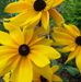 Gretchen Yoder - Facebook