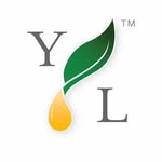 GretchenYoungLiving - @gretchenyoungliving - Instagram