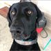 Greta Johnson - Facebook
