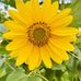 Gretta Johnson - Facebook