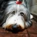 Gretta Martin - Facebook