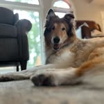 @grey_wilson_ - Instagram