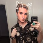Grey Wolf - @greyhavyn - Instagram
