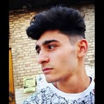Grey_wolf - @m_r_karampoor - Instagram