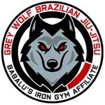Grey Wolf Brazilian Jiu-Jitsu - @grey_wolf_bjj - Instagram