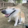 GreyWolf - @greywolffff - TikTok