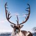 Grayson Brown - Facebook