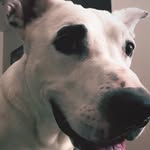 Greyson James - @handsome_greyson - Instagram