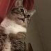 Greyson Hansen - Facebook
