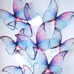 Greyson Johnson - @greysonjohnson948 - Instagram