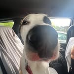 Greyson Johnson - @greyjohn622 - Instagram