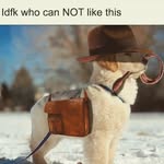 Greyson Jones - @jetlagleader53 - Instagram