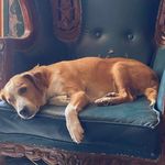 Gricel Sanchez Olivera - @gso.so - Instagram