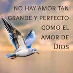 Gricelda Bernal - @gricelda_bernal - Instagram