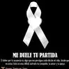 Gricelda Munoz F - @griceldamunozf - TikTok