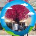 Gricelda Serrano - Facebook