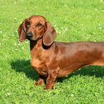 Xander Griff Miller - @bamrocks13 - Instagram