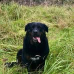 Griff Williams - Facebook