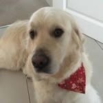 Griff Williams - @griffwilliams1 - Instagram