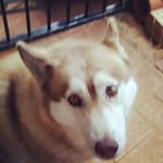 Griffen Glover - @glo_ver10 - Instagram