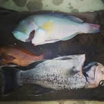 Griffen Glover - @fishingglover07 - Instagram