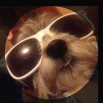 Griffin Carroll - @carroll.griffin1738 - Instagram