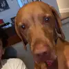 Griffin Egan - @griffin4671 - TikTok