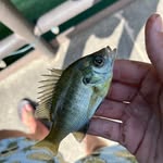 Griffin King - @griffintheking_3 - Instagram