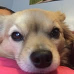 Griffin Porter - Facebook