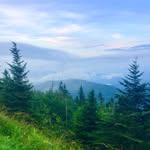 Griffin Porter - @_griffin_porter_ - Instagram