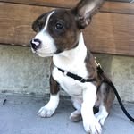 Griffin Porter - @_griffinporchie - Instagram