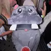 Griffo - @griffin_ray - TikTok