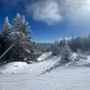 griffinstrunk125 - @griffinstrunk125 - TikTok