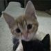 Grisel Camacho - Facebook