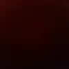 Griselda - @griseldafernandez219 - TikTok
